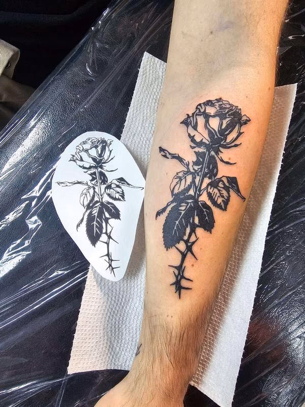 Rose