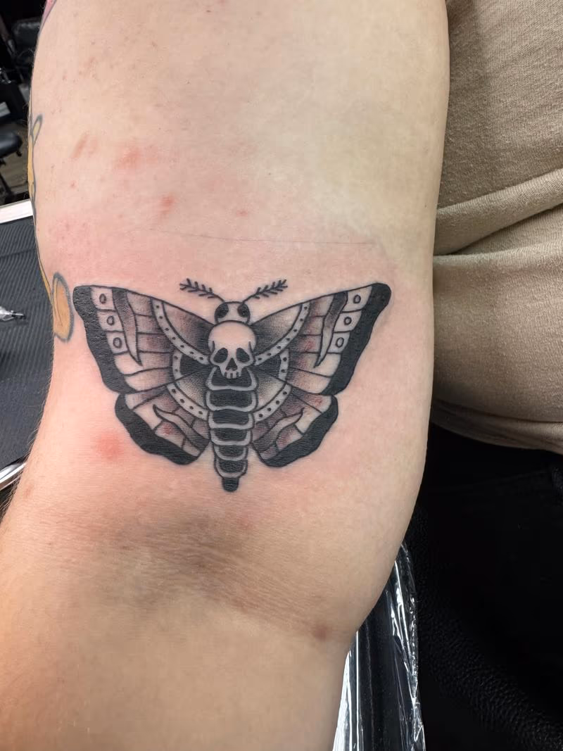Moth