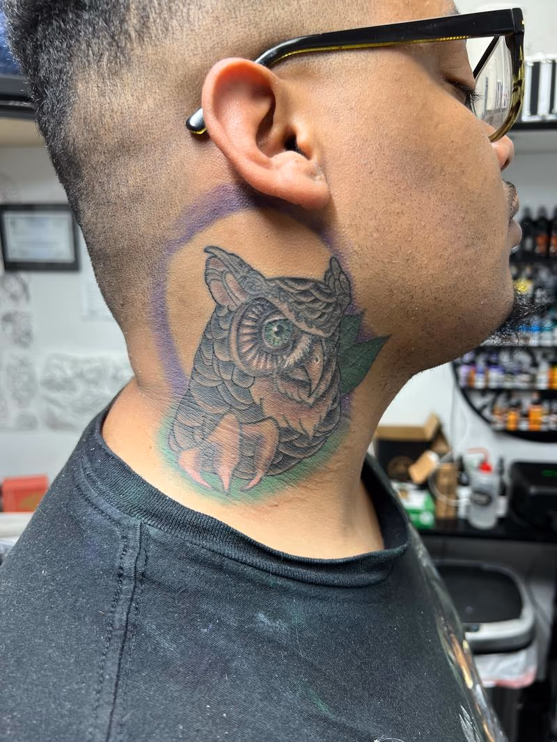 Owl
