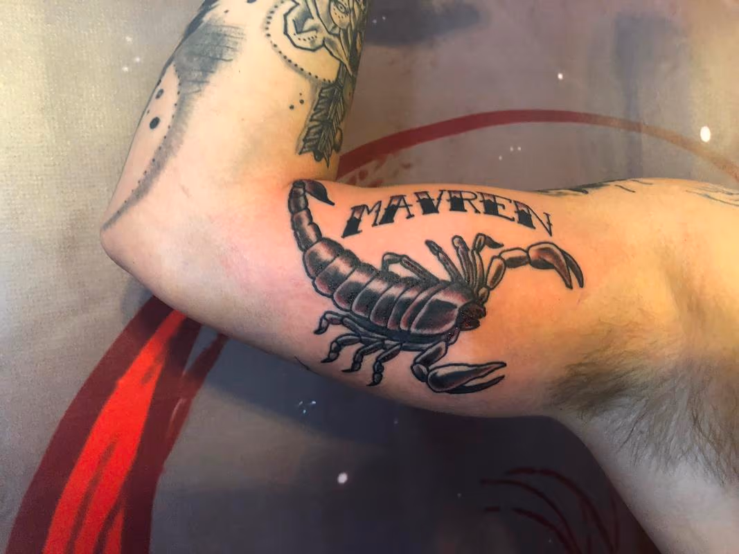 Scorpion