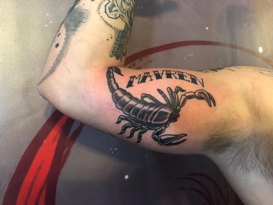 Scorpion