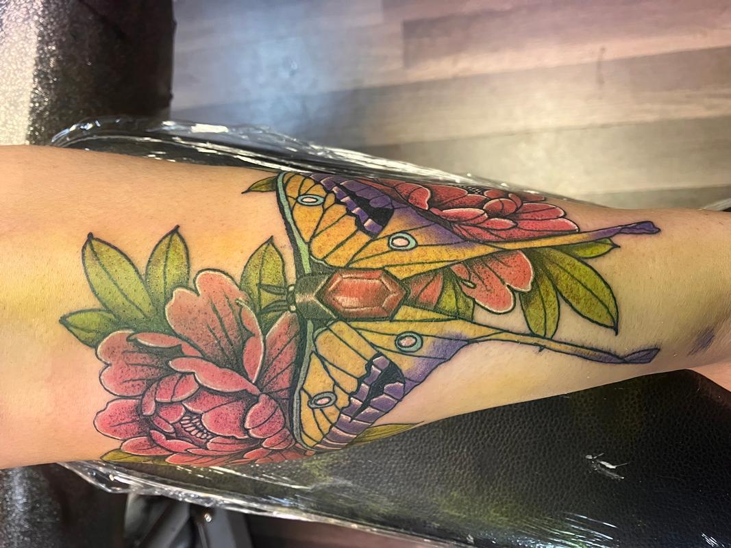 Moth