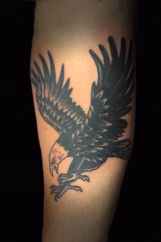 eagle