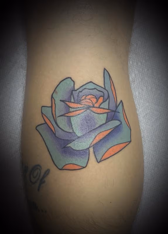 Rose