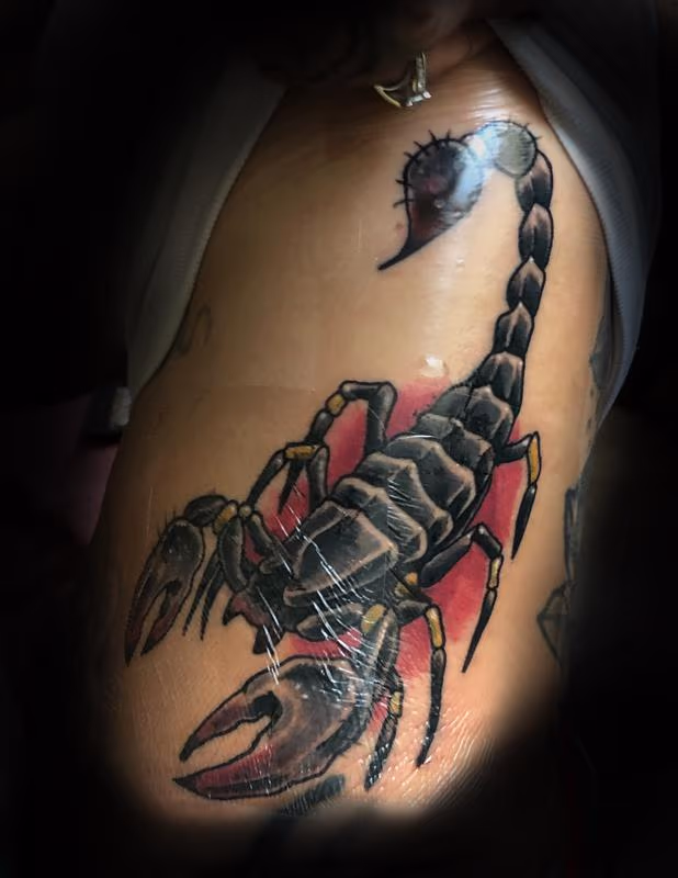 Scorpion