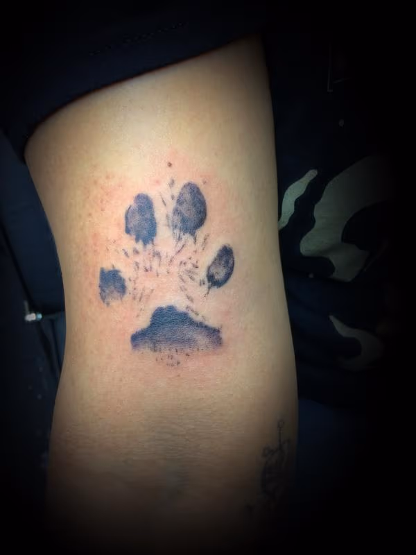 Paw Print
