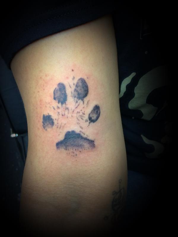 Paw Print
