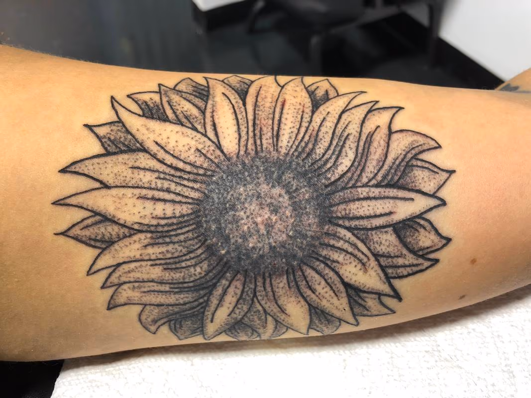 Stipple sunflower