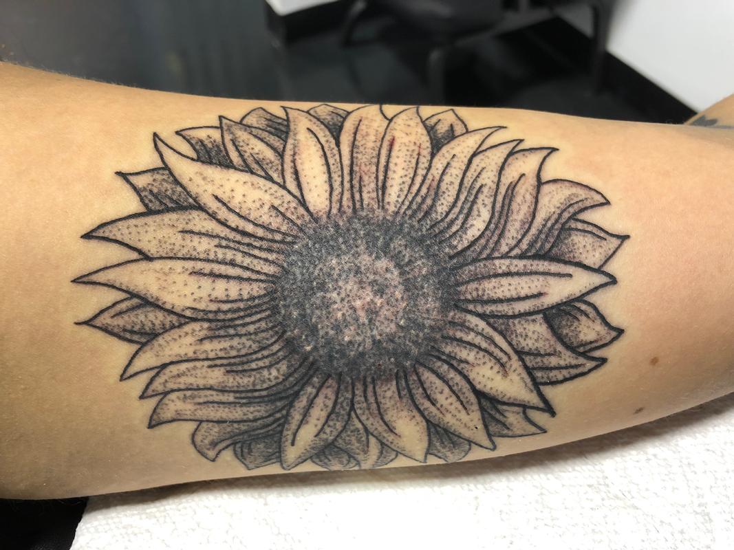 Stipple sunflower
