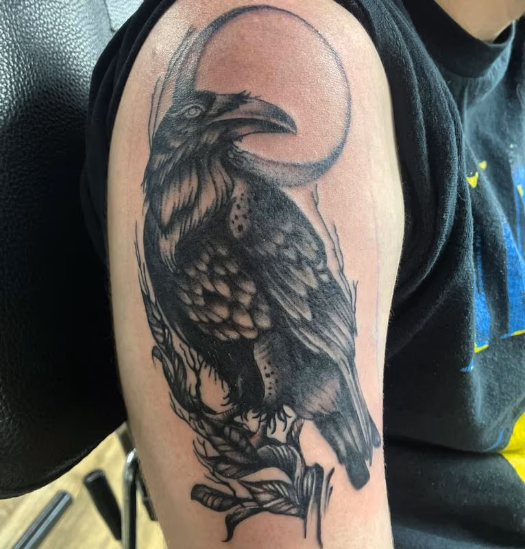 Raven