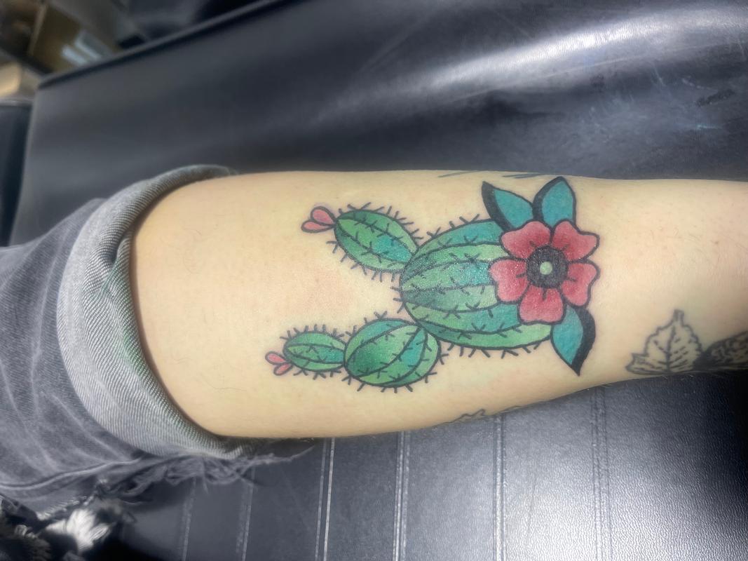 Cactus