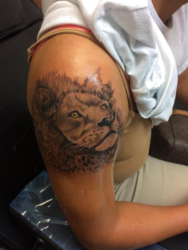 Black and grey lion