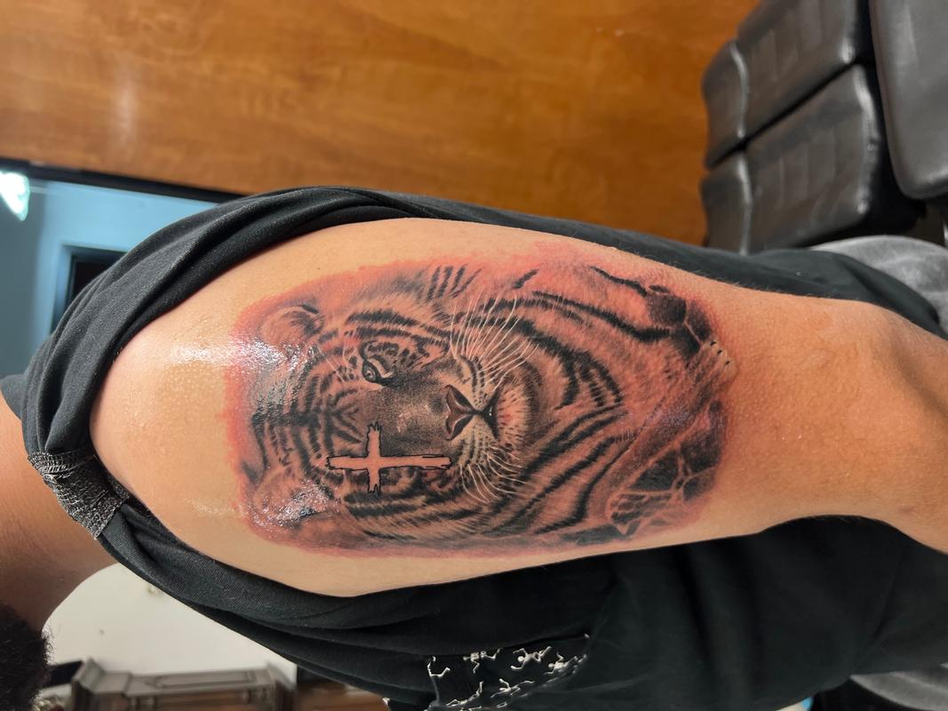 Tiger