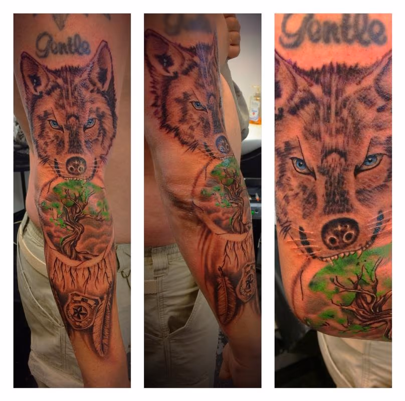 Wolf