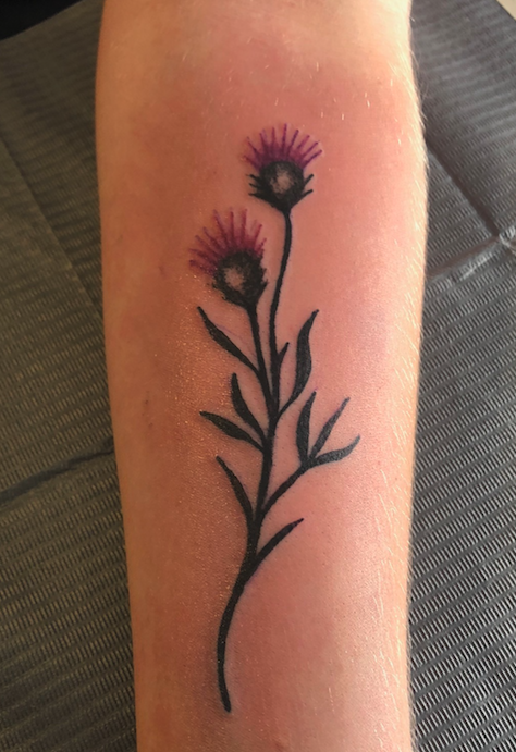 thistle