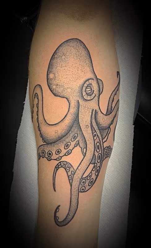 Octopus