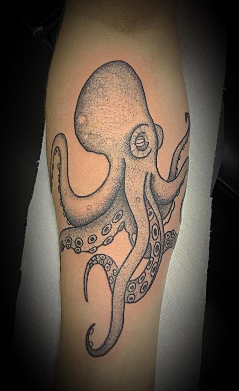 Octopus