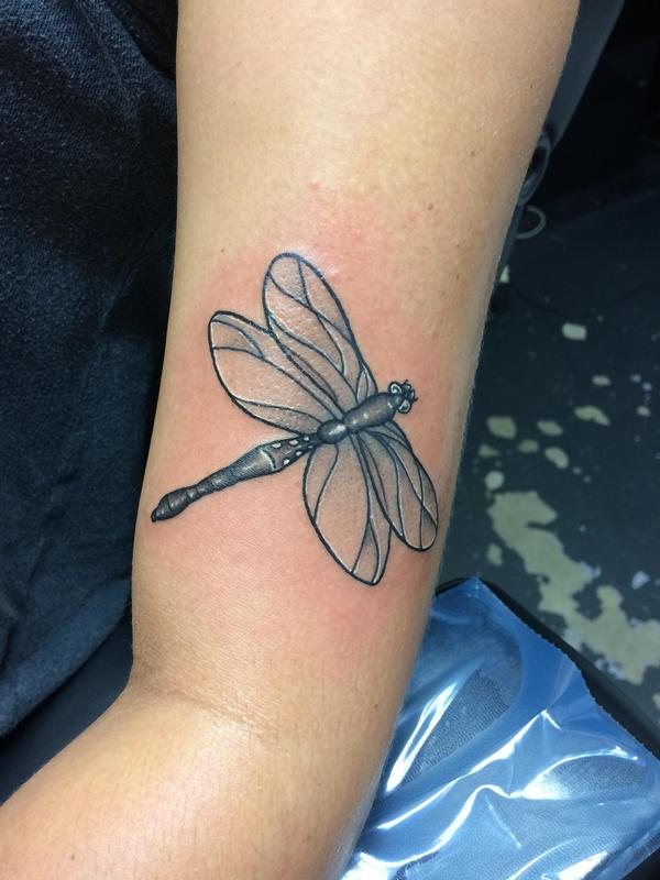 Black and grey dragonfly