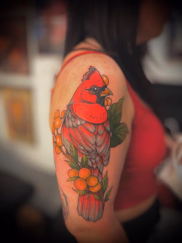 Bird