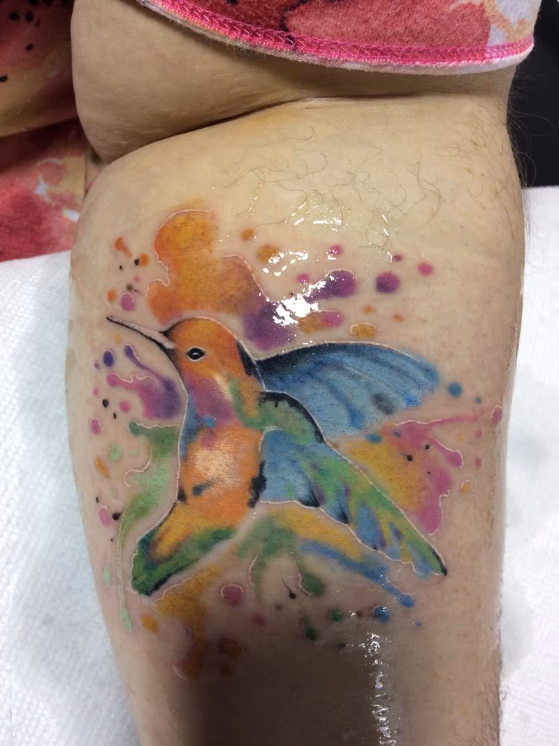 humming bird water color