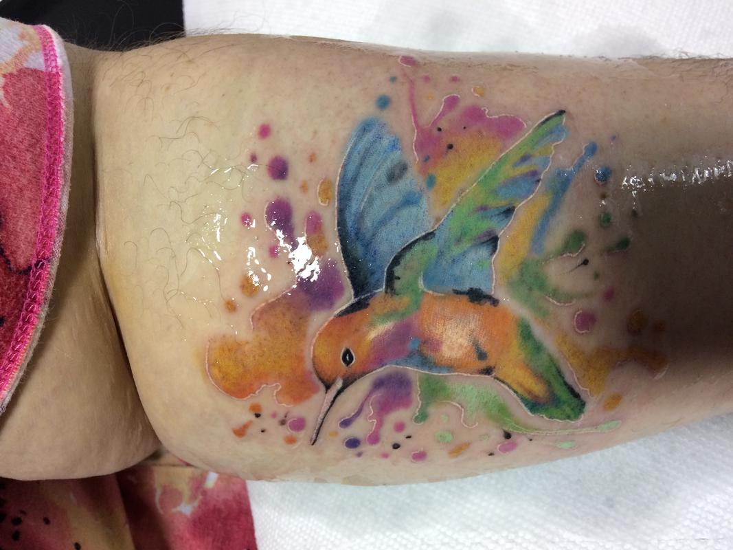 humming bird water color