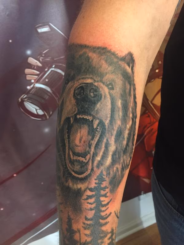 Bear
