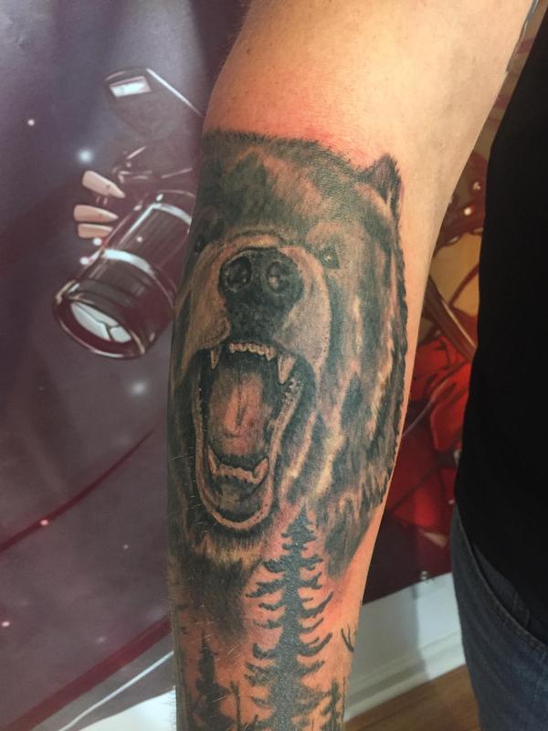 Bear