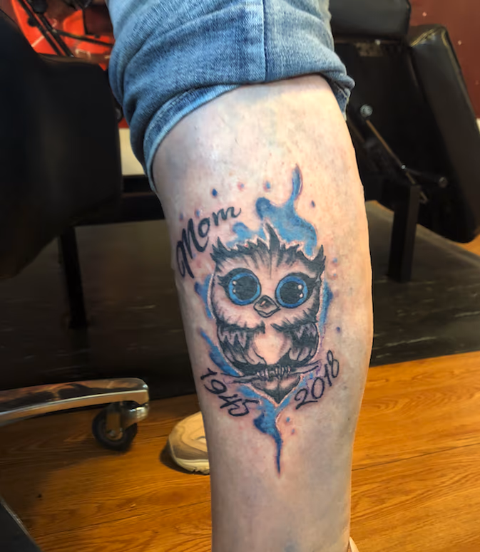 owl