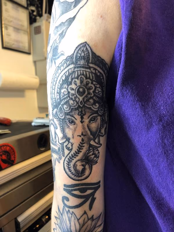 Elephant