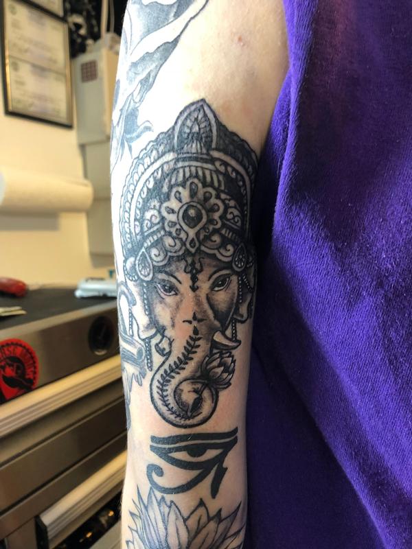 Elephant