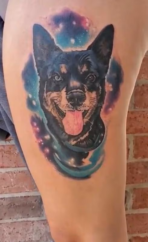 Dogo