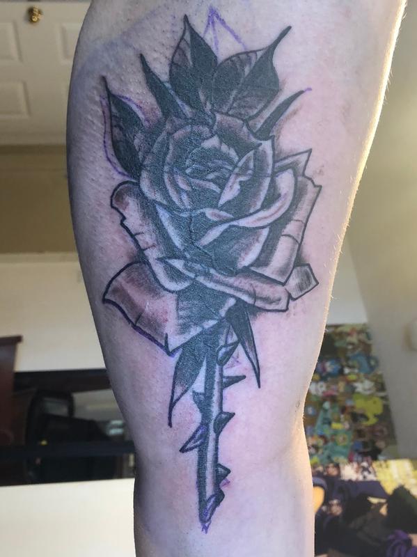 Coverup rose