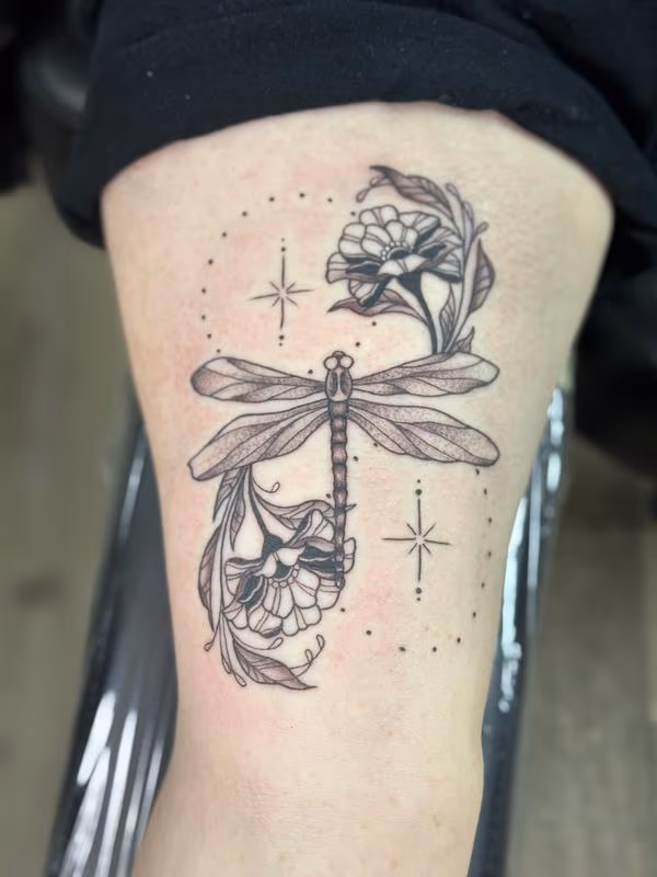 Dragonfly
