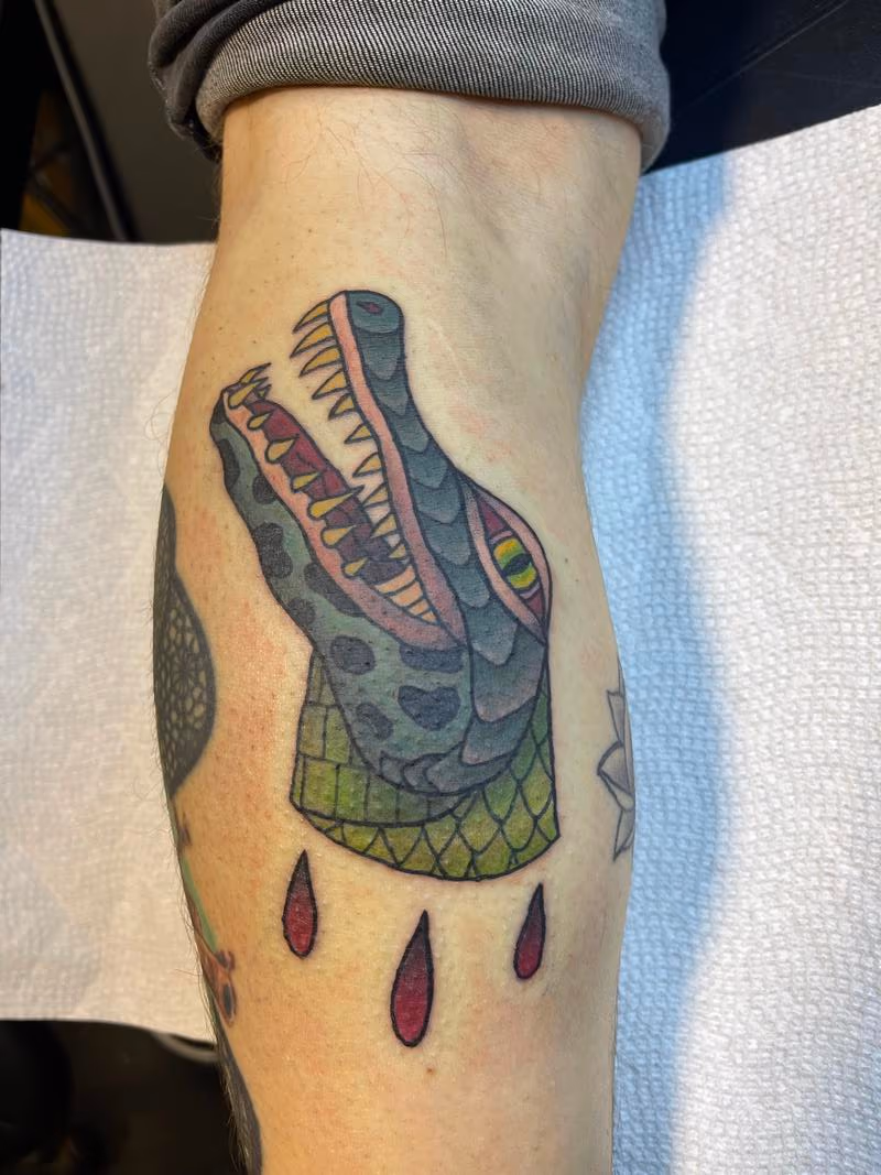 Gator