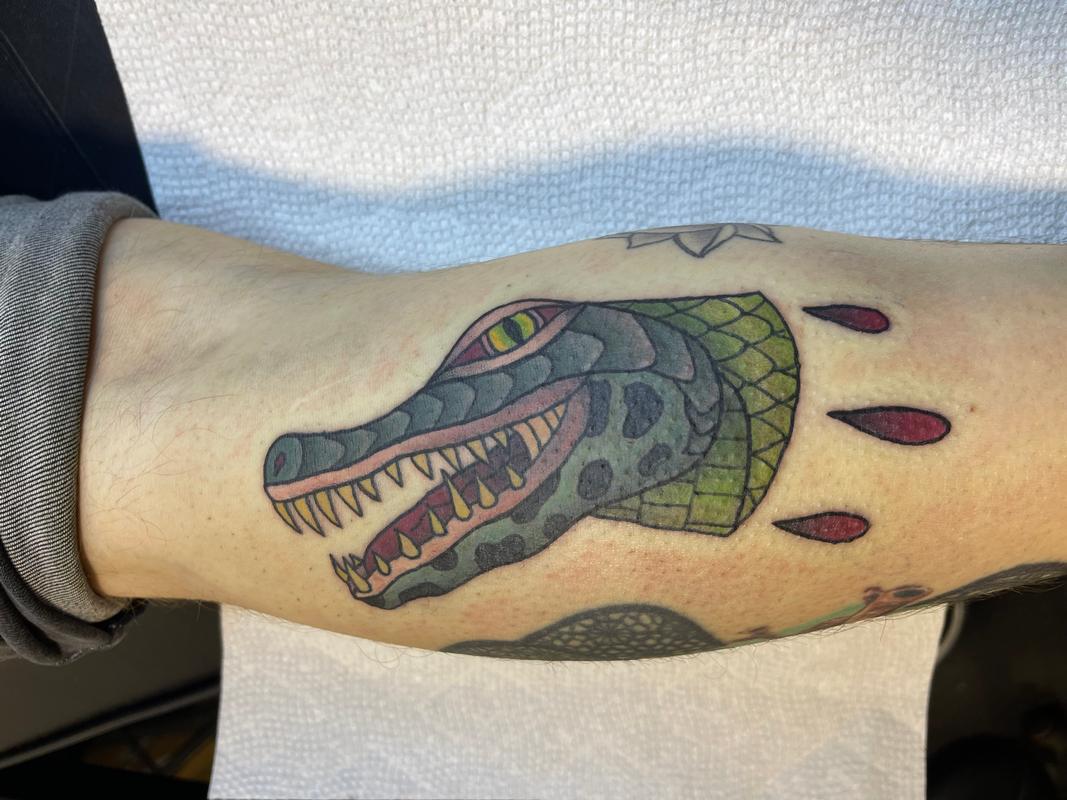Gator