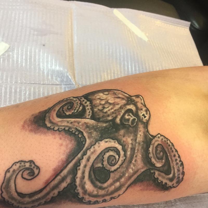 Octopus