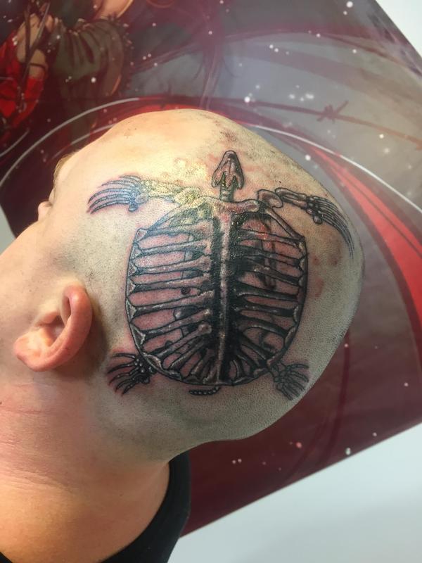 Archelon turtle