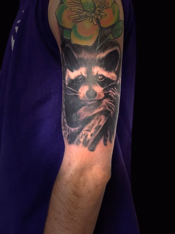 Trash panda