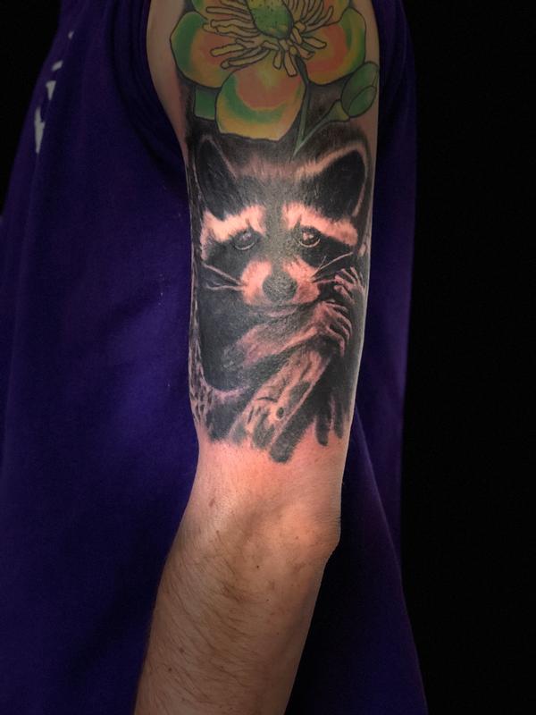 Trash panda