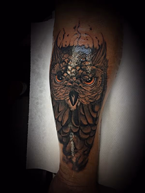 Owl