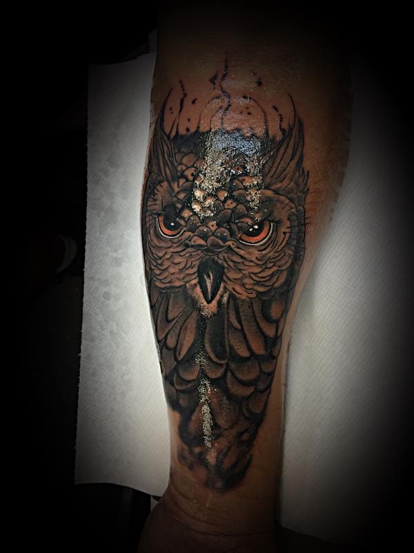 Owl