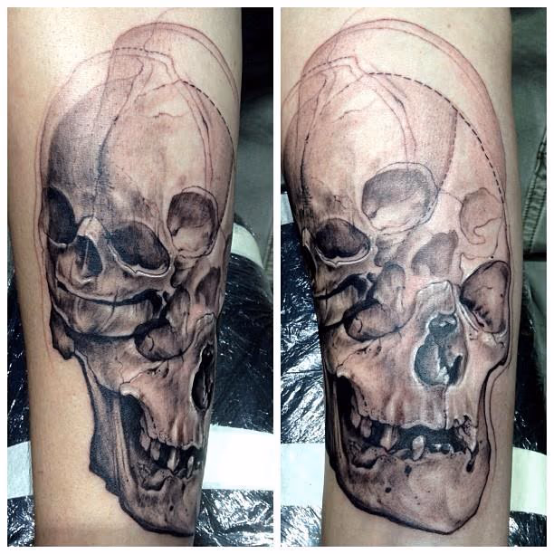 skulls