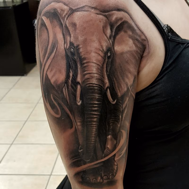 elefant