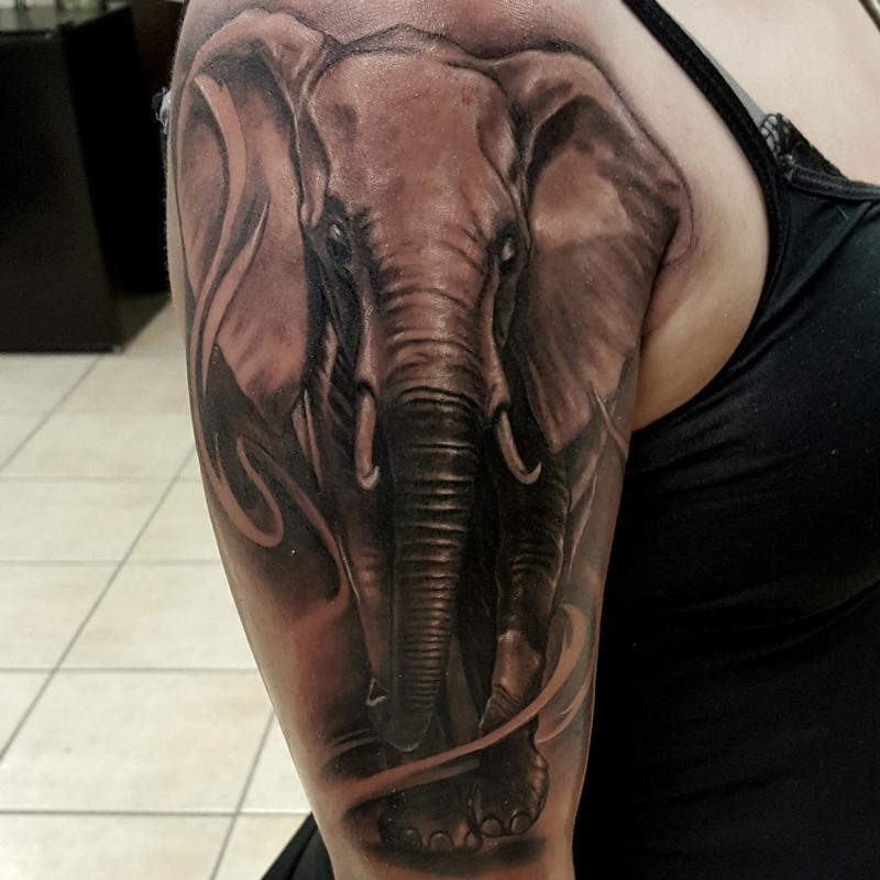 elefant