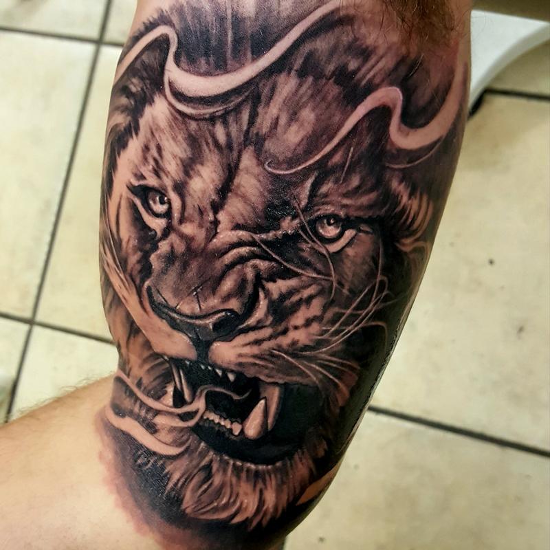 Lion tattoo portrait