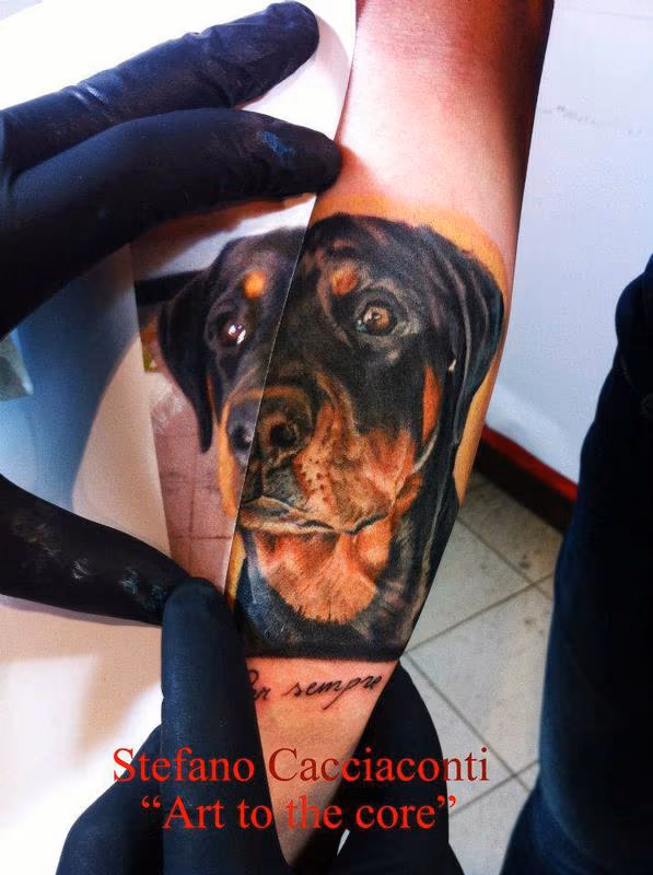 Color dog Portrait