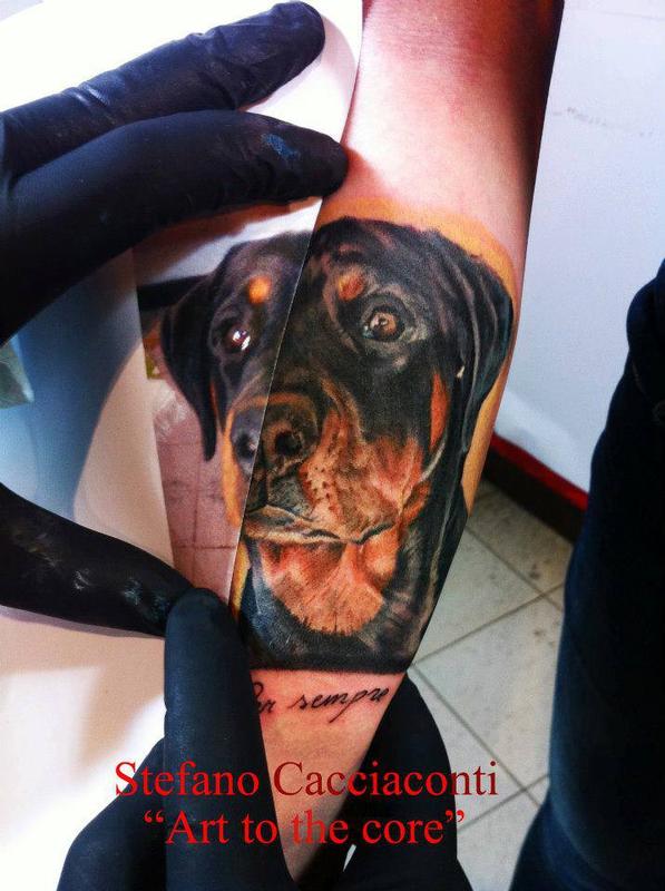Color dog Portrait