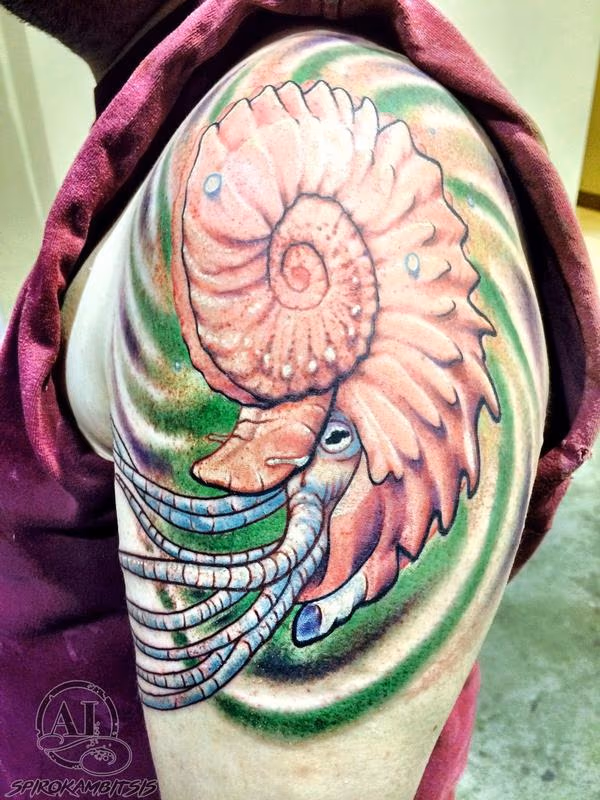 Ammonite