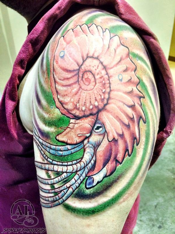 Ammonite