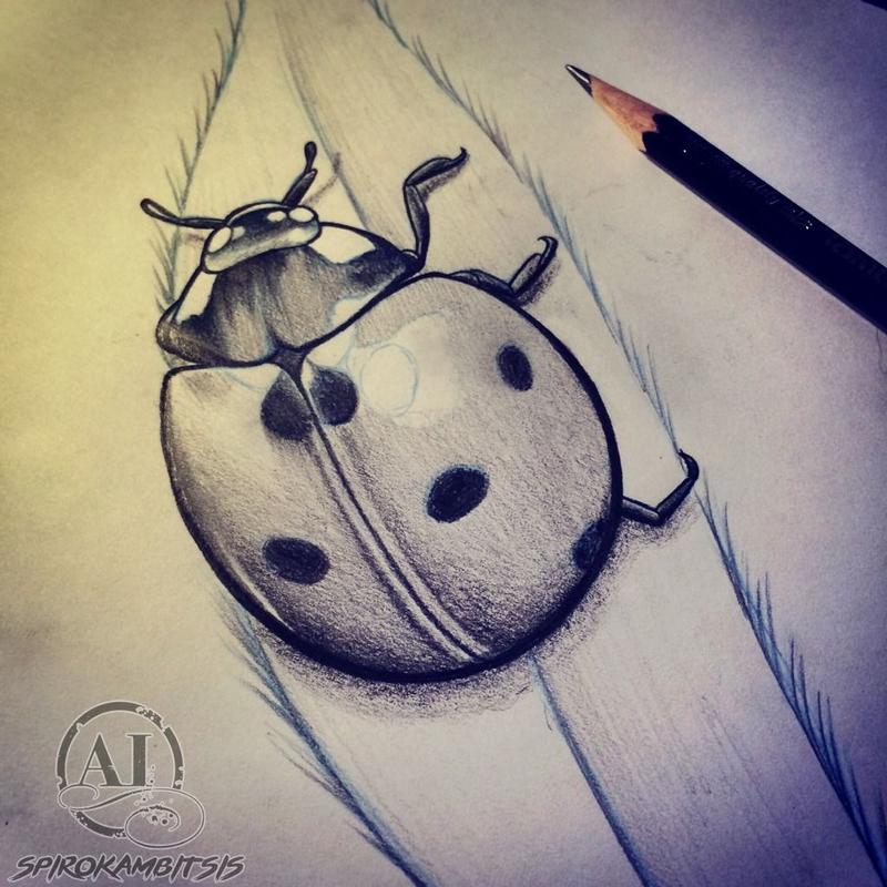 Ladybug sketch